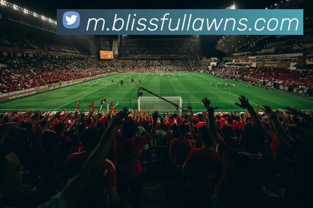 澳门威尼斯在线娱乐平台生态图